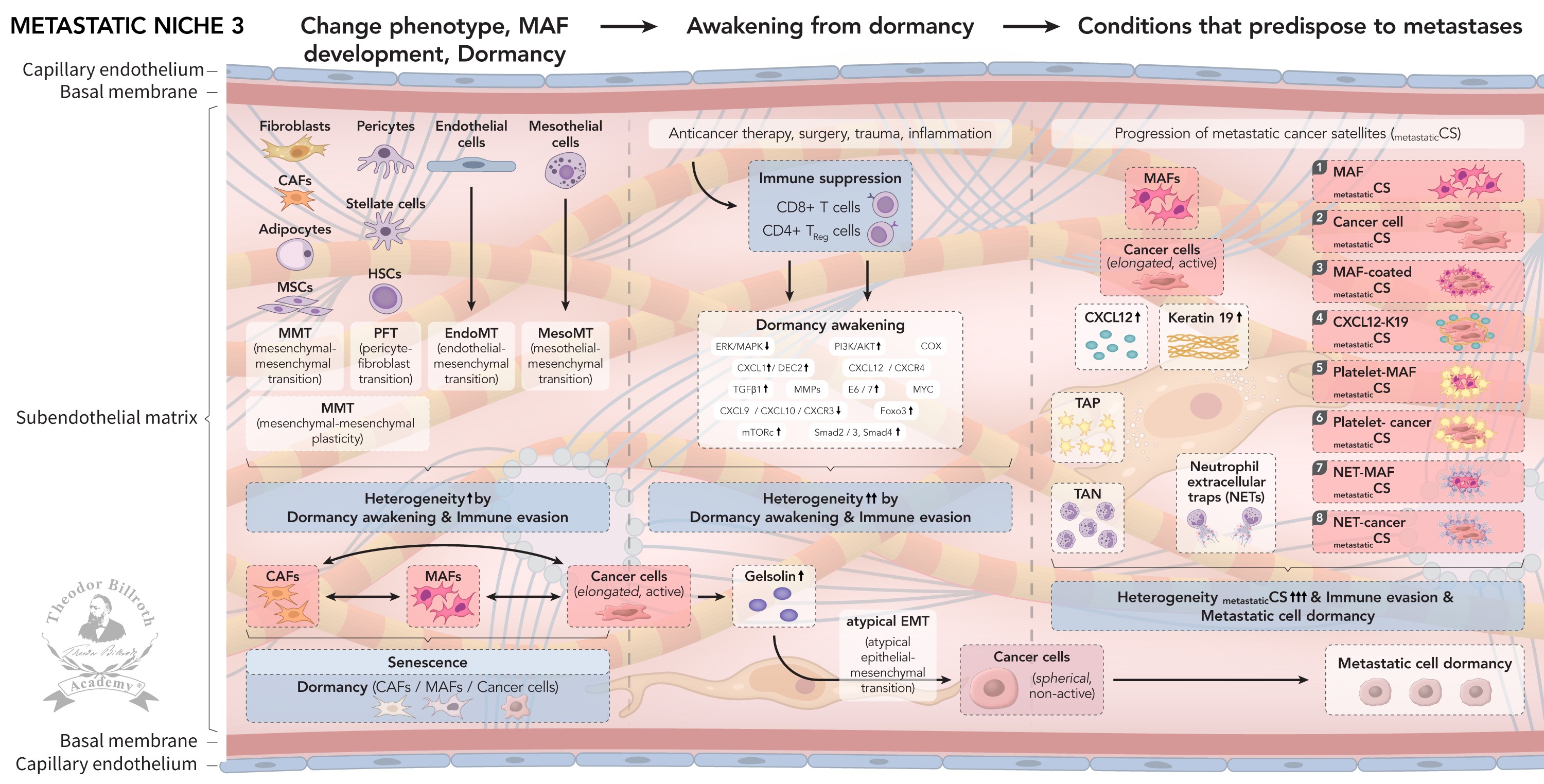 Graphical highlight PMN-1