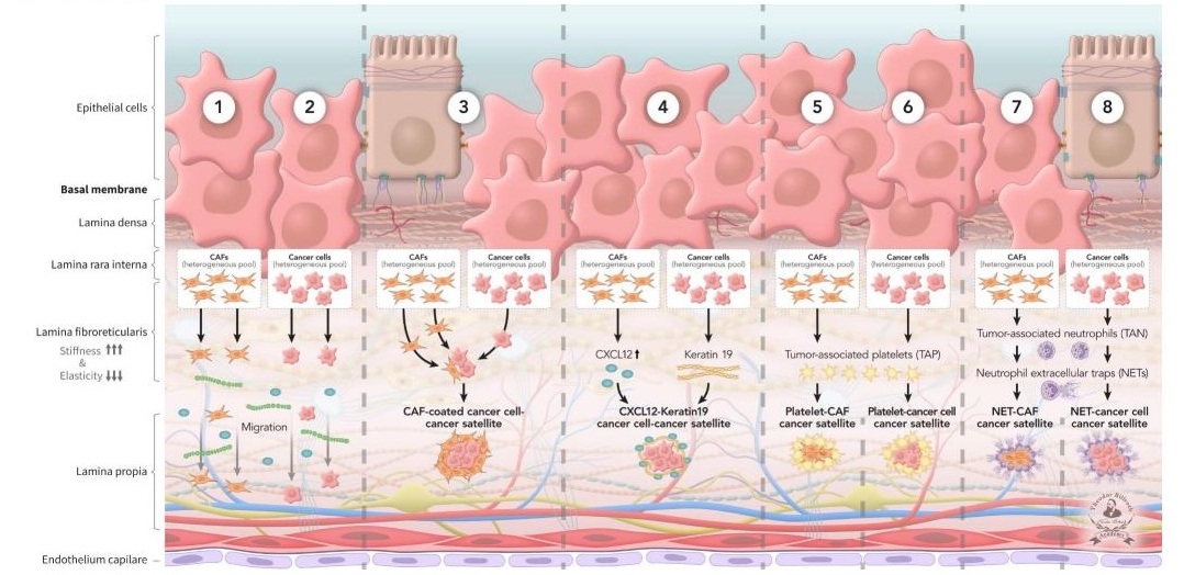 Graphical highlight PMN-3